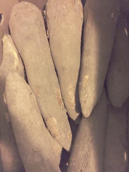 Yam image 0