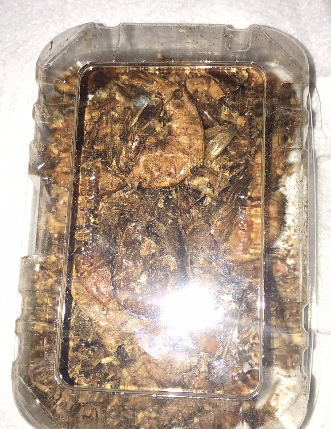 Smoked shrimp - oporo image 1